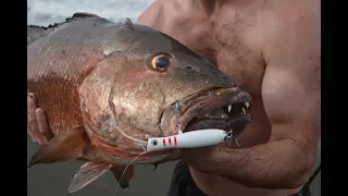 Cubera Snapper Popper Fishing (from shore) in Costa Rica