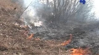 На Тернопільщині горіло Малашівецьке сміттєзвалище