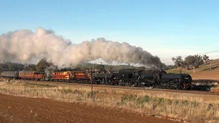 Australian Beyer-Garratt 6029 - Return to Canberra