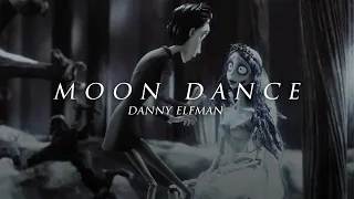 moon dance | slowed, reverb, & rain