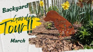 March 2024 Backyard Garden Tour! Spring is HERE! #gardentour #northtexasgarden #zone8a #zone8b