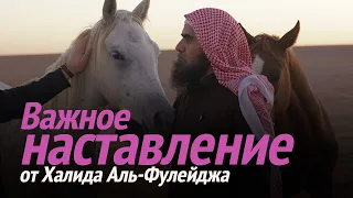 Важное НАСТАВЛЕНИЕ ОТ ШЕЙХА Халида Аль-Фулейджа