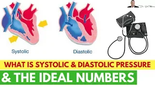 🌡 What Is Systolic & Diastolic Pressure & The Ideal Numbers - by Dr Sam Robbins