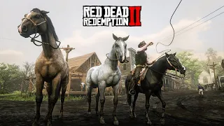 DOMANDO CAVALOS de cor BRONZE e PRATA - O Domador de Cavalos - Red Dead Redemption 2