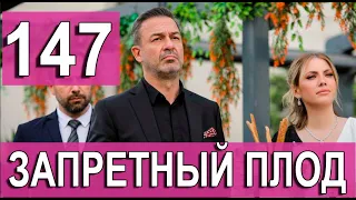 ЗАПРЕТНЫЙ ПЛОД 147 СЕРИЯ (YASAK ELMA) Русская озвучка. Обзор