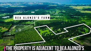 Farm Lot Tour 939●  31.4 Hectares Iba, Zambales ● Manggo Farm For Sale Near BEA ALONZO FARM HOUSE