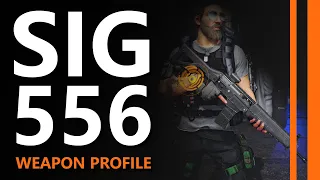 Weapon Profile: SIG 556 | TU10 PTS | The Division 2