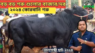 বড় বড় গরুর বাজার দর।কোরবানি গরু দাম ২০২৪। তালগাছী হাট। krishi message bd.Big ox prices in Bangladesh