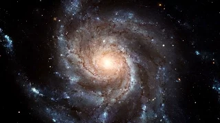 HST Proper Motion Kinematics of Milky Way Globular Clusters
