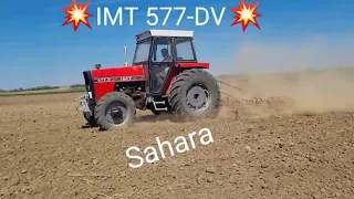 🔥IMT 577-DV🔥  vs pustinja😊 sjetvospremiranje njive#imt577dv #imt #imt577 #tractor #foryou #trending