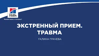 Вебинар на тему: «Экстренный прием. Травма». Лектор – Галина Грачева.