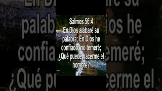 Salmos 56:4,En Dios alabaré su palabra, Versículos y musica de Armando Gamez #shorts