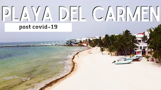 Playa del Carmen Mexico 2020 | Reopening for Business?