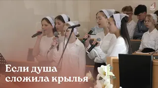 Если душа сложила крылья...