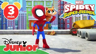 🕷 SPIDEY UND SEINE SUPER-FREUNDE - Katze in Not 🐱 | Disney Junior