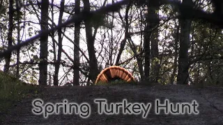 Amazing Turkey Hunt / Farm Road Strutter