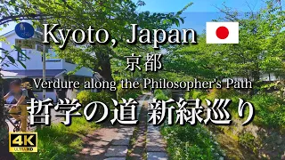 Walking tour along the Philosopher's Path in Kyoto, Japan | Fresh Green【4K】