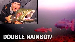 Hectic Rainbow Trout Double - Barbe Lake, Manitoba