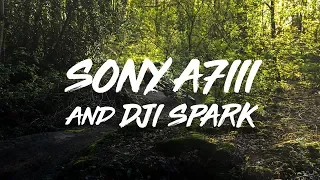 Sony A7iii & DJI Spark