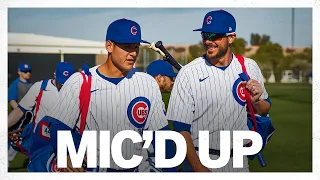 Anthony Rizzo + Kris Bryant Mic'd Up at Cubs-Angels Spring Training game! | Game Highlights