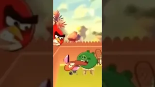 angry birds lore