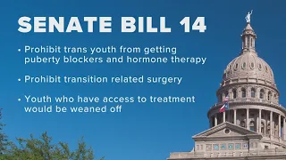 Senate Bill 14 banning gender-affirming care for children returns to State House floor