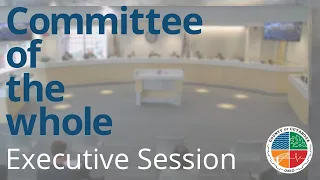 2022.08.02 Committee of the Whole Meeting/Executive Session