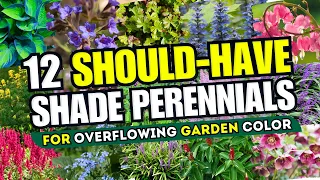 🌲🌈 TRANSFORM YOUR SHADE! 12 Best Shade Perennials for Overflowing Garden Color! 🌸