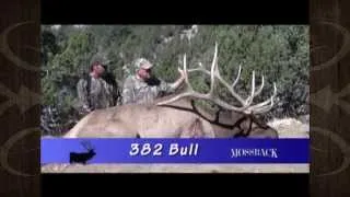 Utah Muzzleloader 382" Elk Hunt - Denny Austad - MossBack