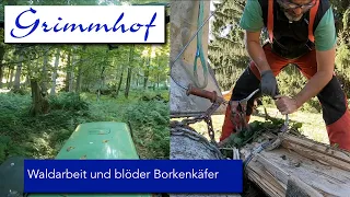 FarmVLOG#33 -Waldarbeit und blöder Borkenkäfer