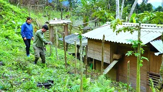 TIMELAPSE: 20 days of KONG Happiness with NHAT and Grandfather, Restoring the degraded farm