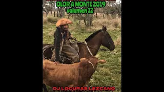 ENGANCHADO DE CHAQUEÑADA 2019 OLOR A MONTE