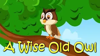 A Wise Old Owl Story  | Popular Nursery Rhyme