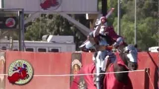 Jousting: WorldJoust Tournaments & the Tournament of the Phoenix