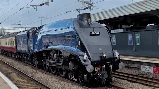 A4 60007 Sir Nigel Gresley steams through Northampton