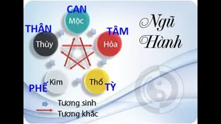 Lý luận YHCT   Học thuyết âm dương   P1 1