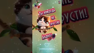 Не грусти! Улыбнись! 🥰🥰🥰