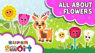 All About Flowers | Super Smart Kids Learning TV
