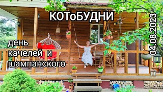 КОТоБУДНИ, 4 августа 2023 г.: День катания на качелях с шампанским 😋☝️🥂🍾