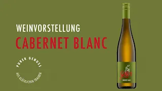 Nachhaltige Piwi Weine: Weingut Galler präsentiert den Cabernet blanc 2021