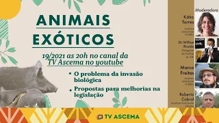 Animais Exóticos: a problemática da invasão biológica, propostas para melhorias na legislação