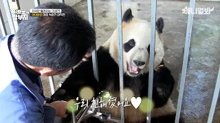 Kang Bao and Ai Bao When They Were Still Awks