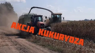 Rola 2023 odc55 Akcja kukurydza🌽🌽🤑