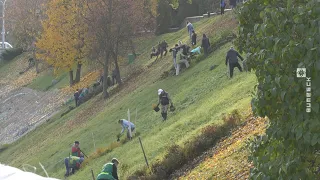 Осенний городской субботник в Витебске. Как это было? (17.10.2022)