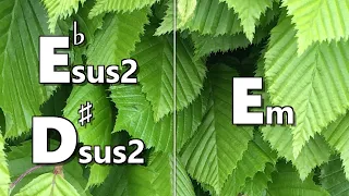 Ebsus2 (D#sus2) to Em Backing Track