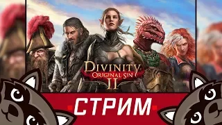 Стрим с Феном - Первый взгляд на игру Divinity Original Sin 2!