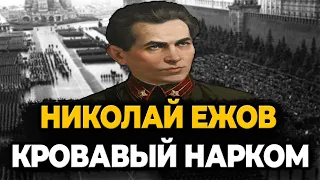 НИКОЛАЙ ЕЖОВ: КАК ЖИЛ КРОВАВЫЙ НАРКОМ?