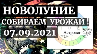 МЕСЯЦ ОГНЯ и ЗЕМЛИ-НОВОЛУНИЕ 07.09.2021 в ДЕВЕ. НОВЫЕ ЗАДАЧИ. КАК СЕБЯ ВЕСТИ. ГОРОСКОП Астролог Olga