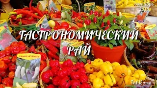 🔴Рим. Гастрономический рай. Фермерский рынок на Чирко Массимо. Итальянские продукты. #TatiRoma