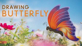 How to draw a butterfly